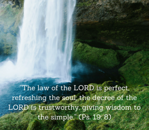 WSC Reflection for January 27, 2019