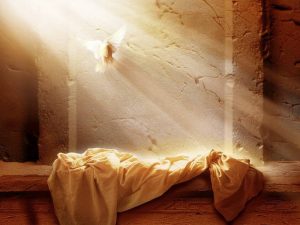 WSC Reflection for April 21, 2019