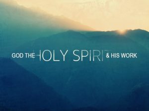 WSC Reflection for June 9, 2019