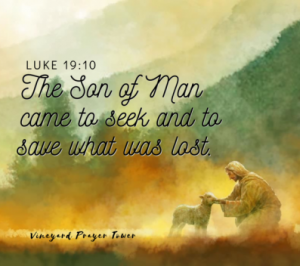WSC Reflection for November 3, 2019